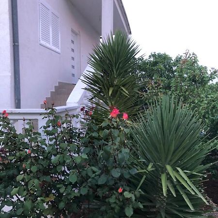 Apartment Raslina ภายนอก รูปภาพ
